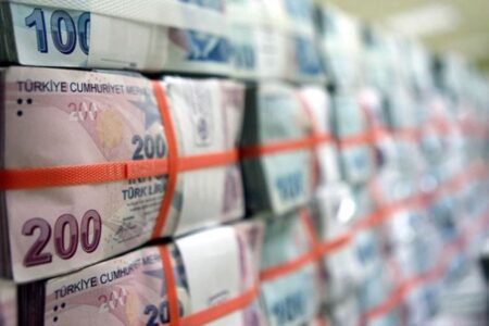 Hazine, 4,2 milyar lira borçlandı