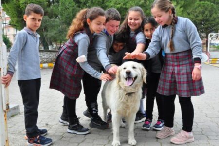 Elmas öğretmenin sahiplendiği ‘Badem’ okulun maskotu oldu