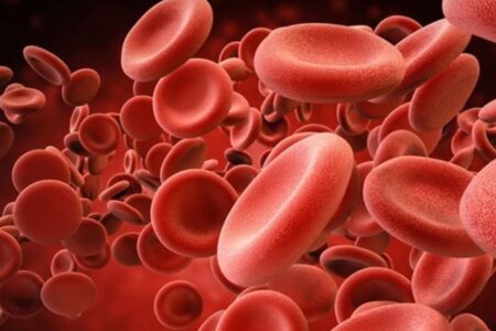 Türkiye’de 6 binden fazla hemofilik kişi var